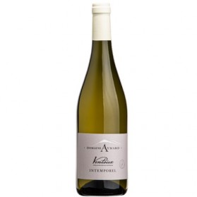 AOP VENTOUX BLANC INTEMPOREL DOMAINE AYMARD 75CL