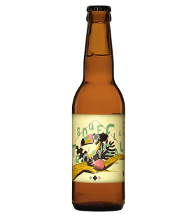 BIERE VIEUX SINGE SOUFFLE TROPICALE (A.W) 33CL BRETAGNE