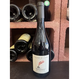 ABC BOURGUEIL Rouge L'Encre de Loire Domaine Galbrun 12% 75cl