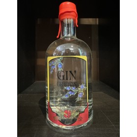 GIN BRETON Brasserie et Distillerie de Dinan 42% 70cl