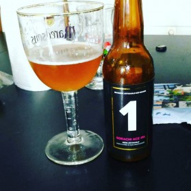 THE ONE SORACHI ACE IPA BIERE 33CL